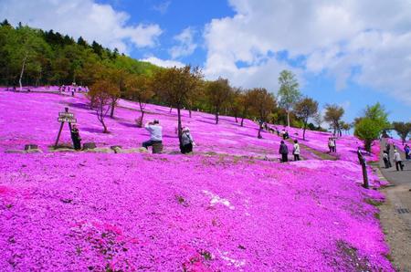 2012-5-24滝上・上湧別・サロマ 060.jpg